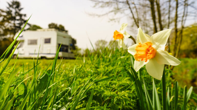 RV Resort for families